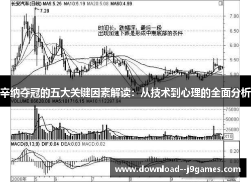 辛纳夺冠的五大关键因素解读：从技术到心理的全面分析