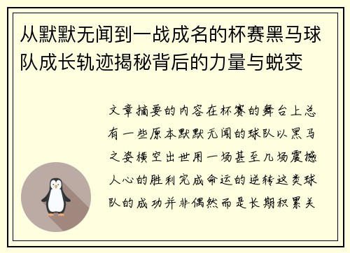 从默默无闻到一战成名的杯赛黑马球队成长轨迹揭秘背后的力量与蜕变